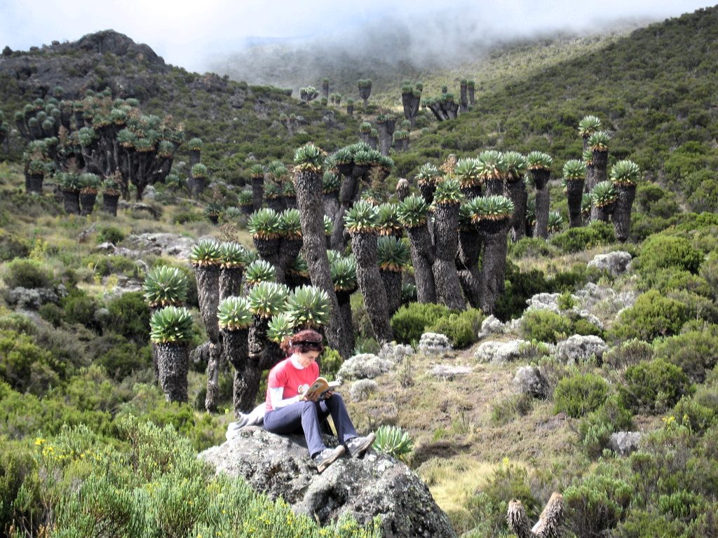 Leyendo en un paisaje precioso durante subida al Kilimanjaro