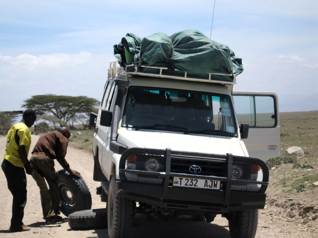 Pinchazo en el Serengeti