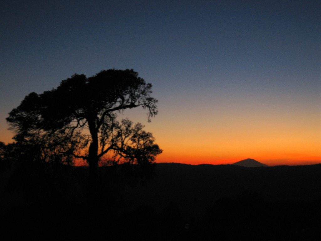 Amanecer en el Serengeti