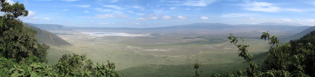 Ngorongoro