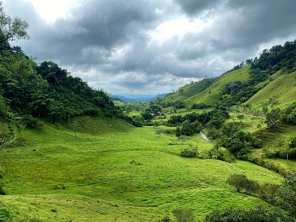 Valle del Cocora