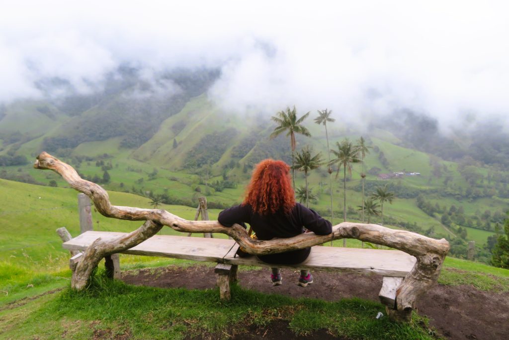 Palmeras de cera en el Valle de Cocora