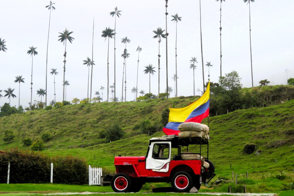 Palmeras de cera en el valle del Cocora