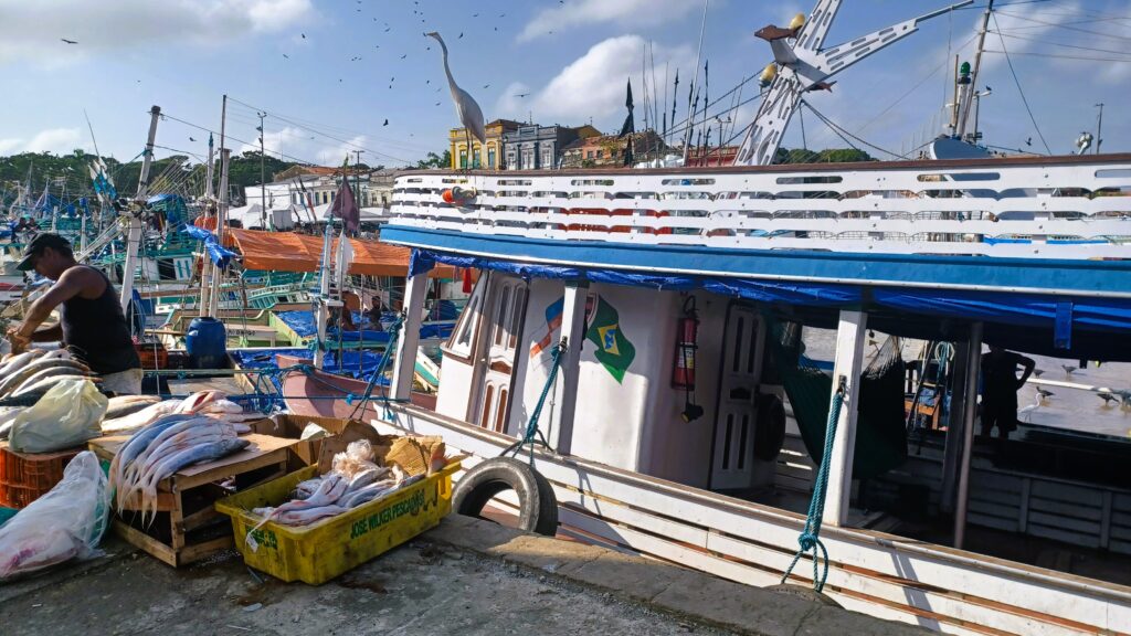 Puestos de pescados en Belém do Pará