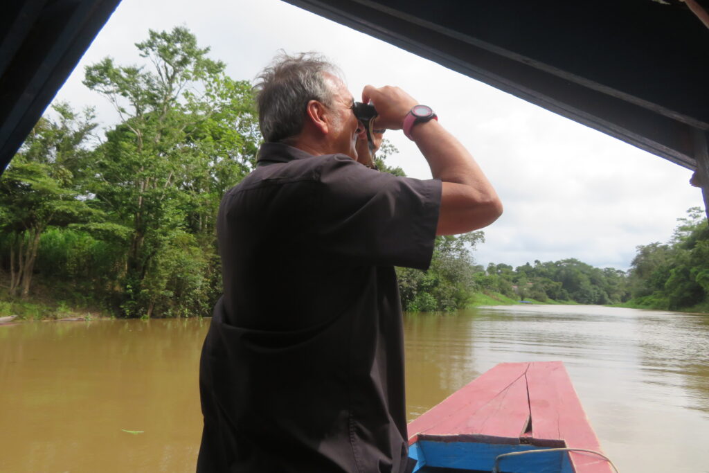 Avistando la fauna en el Amazonas