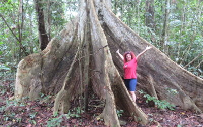 VISITAR LETICIA Y AMAZONAS COLOMBIANO