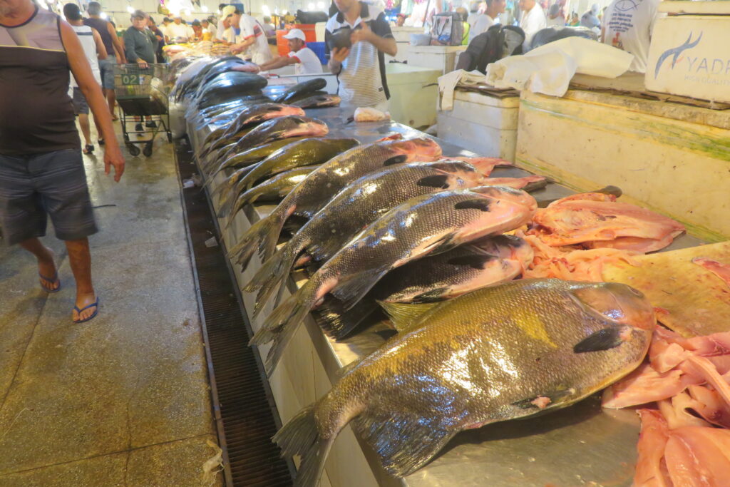 Puesto de Tambaqui fresco en el Mercado de Manaos.