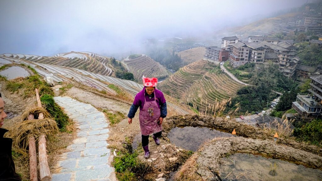 campos de arroz de Longji